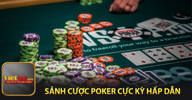 Sảnh cá cược poker cực kỳ hấp dẫn