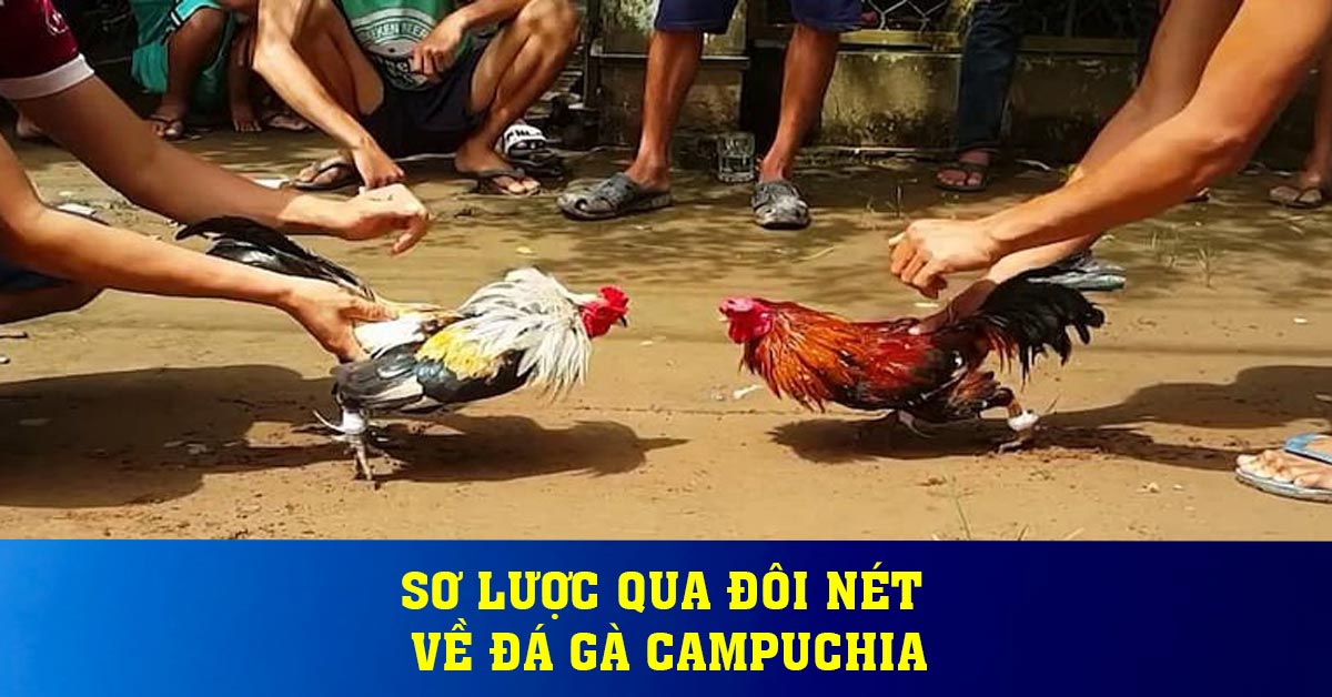 Sơ lược qua đôi nét về đá gà Campuchia